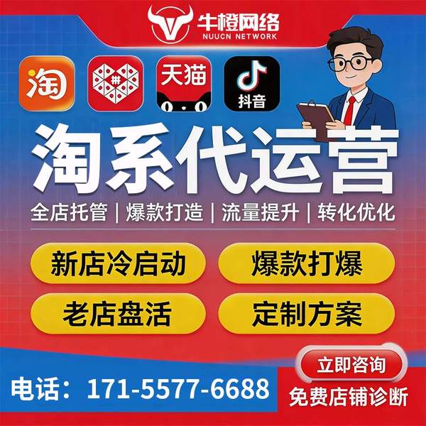 平潭电商代运营