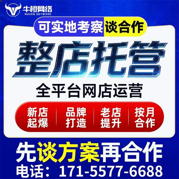 平潭电商代运营
