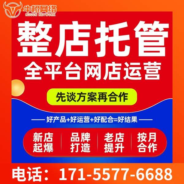平潭电商代运营
