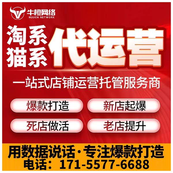 平潭电商代运营